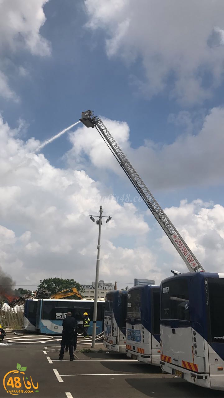 firbus eastyaffa (5).jpg